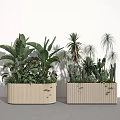 Wooden Rectangular Planters Filled With Various Potted Plants Large Leaves Cacti And Palm Plants