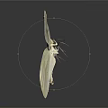 White Butterfly With Brown Spotted Wings Displaying Delicate Patterns And Natural Reflection 3d model
