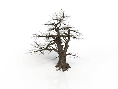 Dry Dead Tree Structure With Thick Trunk And Spreading Branches On White Background 3d model