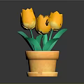 Yellow Tulips In Terracotta Pot With Green Leaves And Red Soil