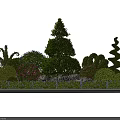 Artistic Garden Bushes with Diverse Shaped Designs Like Spiral Cone and Round