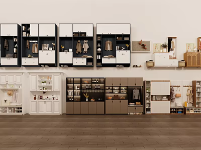 Modern Functional Shoe Cabinet Designs With Multiple Storage Compartments And Hanging Space 3d model