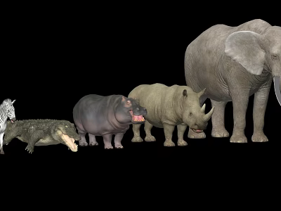 Modern Animal Combination Animal Collection Elephant Rhino Zebra Crocodile Hippo 3d model
