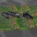 Thriving Aquatic Plants with Green Grasses and Pink Flowers in Water with Stones
