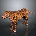 Leopard Standing on Dark Reflective Surface with Orange Fur and Black Spots 3d model