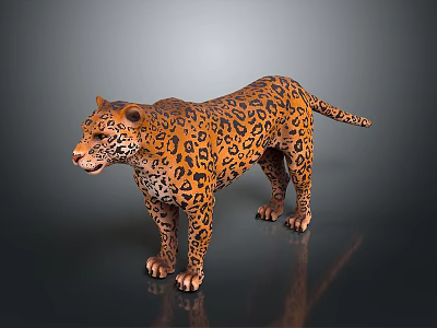 Leopard Standing on Dark Reflective Surface with Orange Fur and Black Spots 3d model