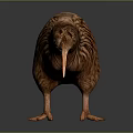 Kiwi Bird With Brown Feathers And Long Beak Standing On Gray Gradient Background With Reflection 3d model