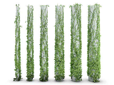Lush Green Climbing Vines Fully Covering Tall Concrete Pillars Outdoors 3d model