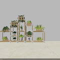 Creative Garden Decor With Multi Tiered Plant Stand Various Green Plants And Potted Succulents