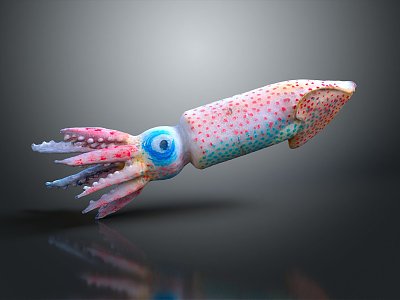 Cuttlefish Squid Cuttlefish Squid Octopus Beads Squid Octopus Heart-fin Whip Squid 3d model