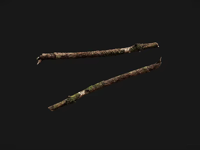 Two Natural Wooden Sticks With Mossy Surface And Rustic Texture 3d model