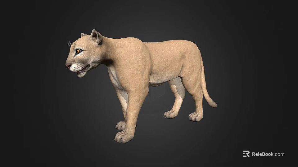 Standing Puma 3D Render With Light Brown Fur On Dark Background 3d model