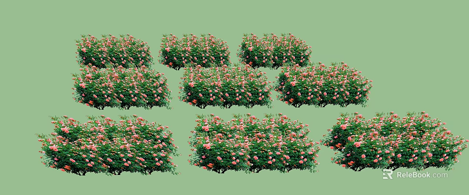 Lush Pink Flower Bushes With Green Leaves Neatly Arranged In Garden 3d model 