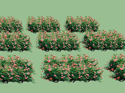 Lush Pink Flower Bushes With Green Leaves Neatly Arranged In Garden 3d model
