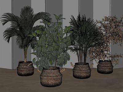 Decorative Potted Plants with Various Green Leafy Palm and Yellow Foliage in Woven Rattan Baskets 3d model
