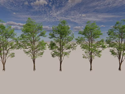Modern Tree Landscape Tree Garden Tree Courtyard Tree 3d model