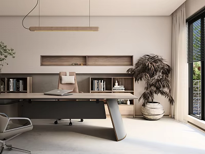Modern Minimalist Office Interior with Large Desk Ergonomic Chair Bookshelves Potted Plant and Natural Light 3d model