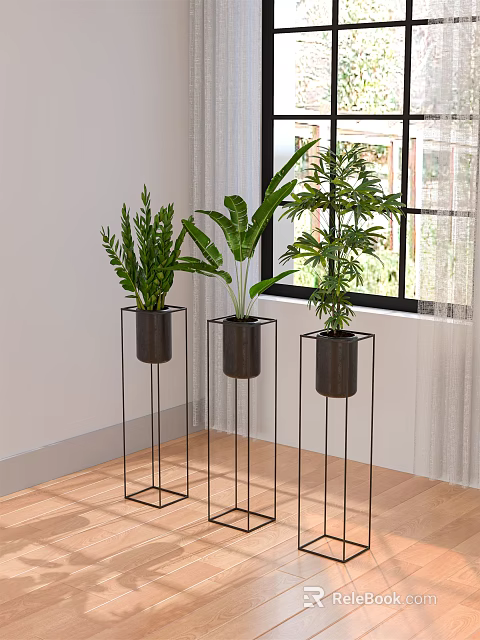 Indoor Bonsai Potted Plants On Black Metal Stands Near Window With Natural Light 3d model 