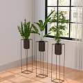 Indoor Bonsai Potted Plants On Black Metal Stands Near Window With Natural Light