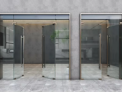 Modern Glass Double Doors Entrance With Interior View And Gray Wall 3d model