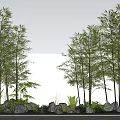Bamboo Plants In Outdoor Landscape With Stones And Green Foliage Near White Wall