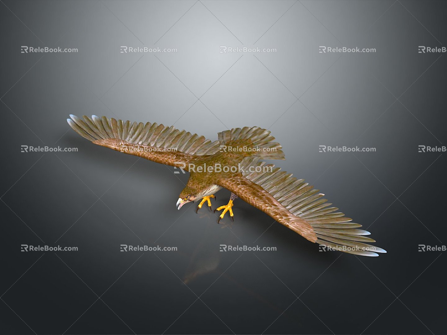 Eagle Large Eagle Owl Raptor Falcon Bird Bird Bird Animal Game Animal 3d model