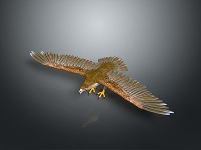 Eagle Large Eagle Owl Raptor Falcon Bird Animal Game Animal 3d model