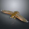 Flying Eagle With Spread Wings And Yellow Talons In Gray Background With Reflection 3d model