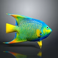 Colorful Tropical Fish With Vibrant Blue Green Yellow Orange Body And Net Like Scales
