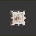 Classical Carved Stone Capital With Intricate Volutes Foliage And Decorative Base