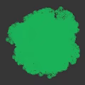Isolated Lush Tree With Dense Green Foliage White Trunk Against Black Background
