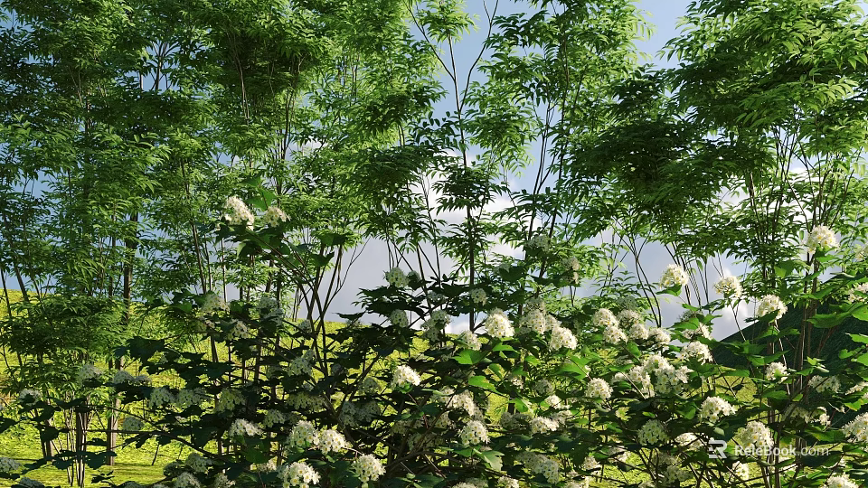 Beautiful Shrubs With White Flowers And Lush Green Leaves In Garden 3d model 