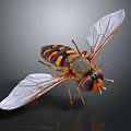 Modern Bee Ma Feng Wasp 3d model