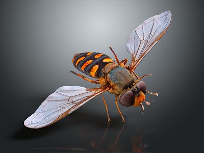 Modern Bee Ma Feng Wasp 3d model