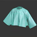 Light Blue Loose Fit Top With Round Neck And Short Sleeves Casual Design
