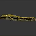 Yellow Striped Gecko Resting On Wooden Log With Bark Texture Against Dark Background