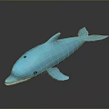 Blue Dolphin Toy Model With Smooth Surface And Black Background Reflection