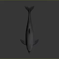 Realistic Gray Dolphin Model in Side View on Dark Glossy Surface