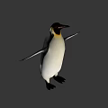 Emperor Penguin With Yellow Neck Black White Plumage And Spread Wings