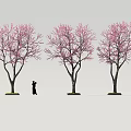 Delicious Cherry Blossom Themed Desserts Under Pink Flower Trees With Silhouette Person
