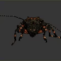 Close Up View Of Beetle With Long Antennae Spotted Exoskeleton Multiple Legs On Gray Background