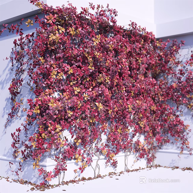Lush Red and Yellow Vines with Vibrant Foliage Covering Exterior White Wall Surface 3d model 