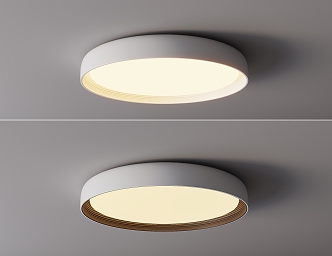 Simple ceiling lamp 3d model