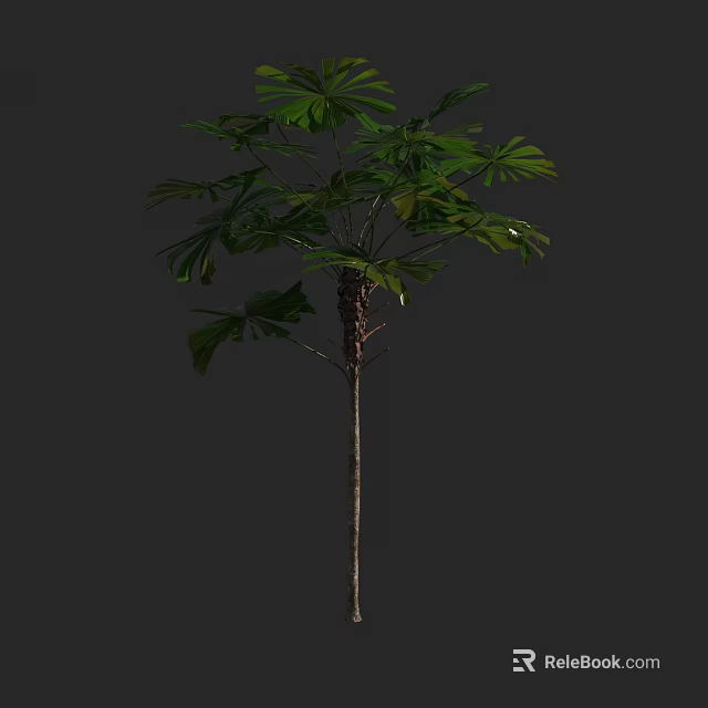 Tall Arbor With Lush Green Leaves And Slender Brown Trunk In Natural Growth 3d model 