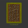 Turnip Garden Scene With Orange Fence Green Platform And Neatly Planted Rows