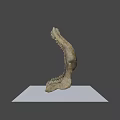 Detailed Shark Jawbone Display With Sharp Teeth And Anatomical Structure 3d model