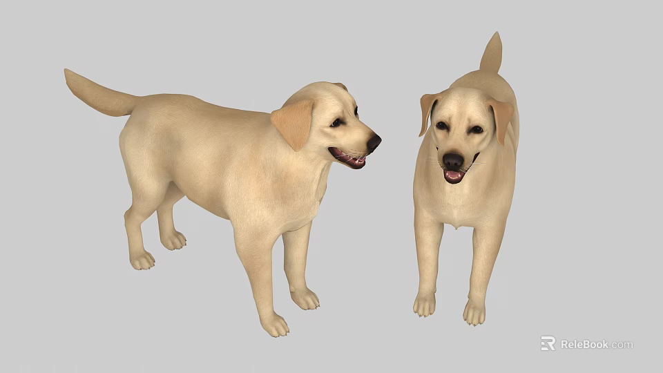 Two Yellow Reptiles Standing On Gray Background Looking At Each Other 3d model 