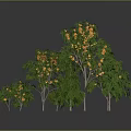 Various Types of Trees With Fruits Different Sizes Shapes Gray Background Reflective Ground