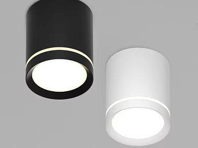 Modern Black and White Cylindrical Ceiling Lights with Sleek Design and Bright Illumination 3d model