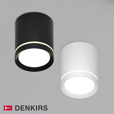 Modern Black and White Cylindrical Ceiling Lights with Sleek Design and Bright Illumination 3d model